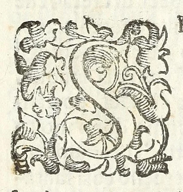 An illustration from Felsina pittrice : vite de pittori bolognesi, 1678, leaf 357