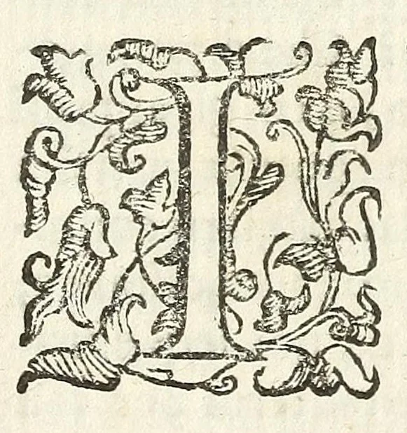 An illustration from Felsina pittrice : vite de pittori bolognesi, 1678, leaf 371