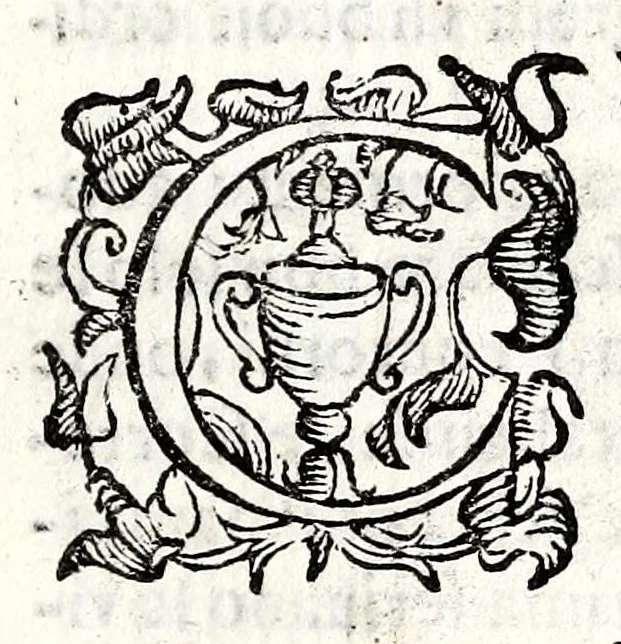 An illustration from Felsina pittrice: vite de pittori bolognesi : alla maesta christianissima di Luigi XIIII re di Francia e di Navarra il sempre vittorioso, 1678, leaf 103