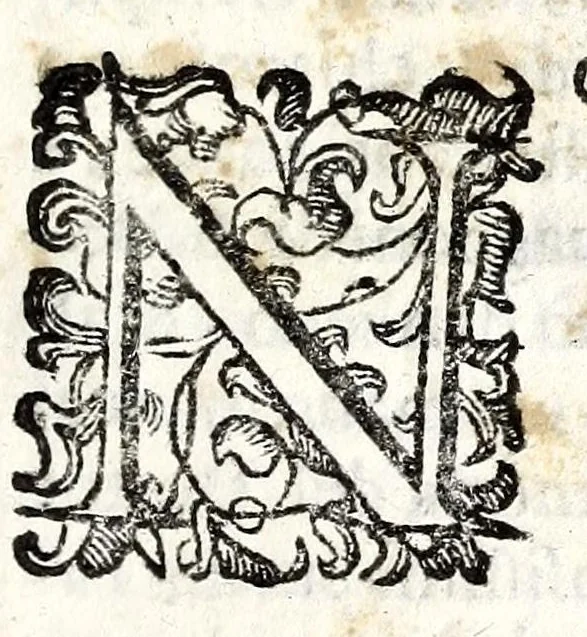 An illustration from Felsina pittrice: vite de pittori bolognesi : alla maesta christianissima di Luigi XIIII re di Francia e di Navarra il sempre vittorioso, 1678, leaf 113