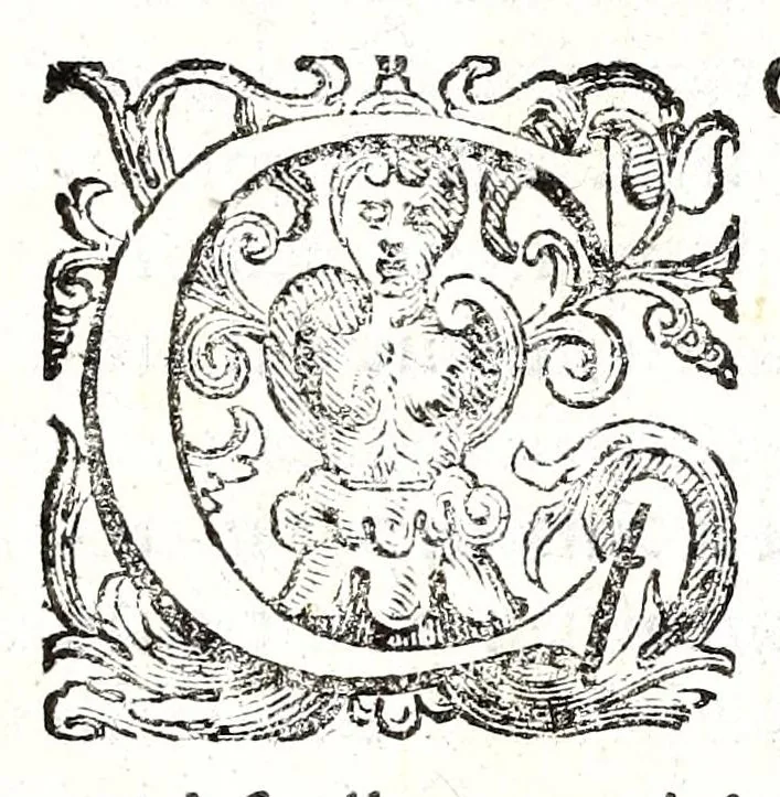 An illustration from Felsina pittrice: vite de pittori bolognesi : alla maesta christianissima di Luigi XIIII re di Francia e di Navarra il sempre vittorioso, 1678, leaf 13