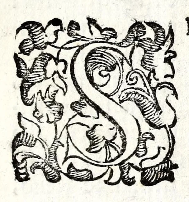 An illustration from Felsina pittrice: vite de pittori bolognesi : alla maesta christianissima di Luigi XIIII re di Francia e di Navarra il sempre vittorioso, 1678, leaf 233