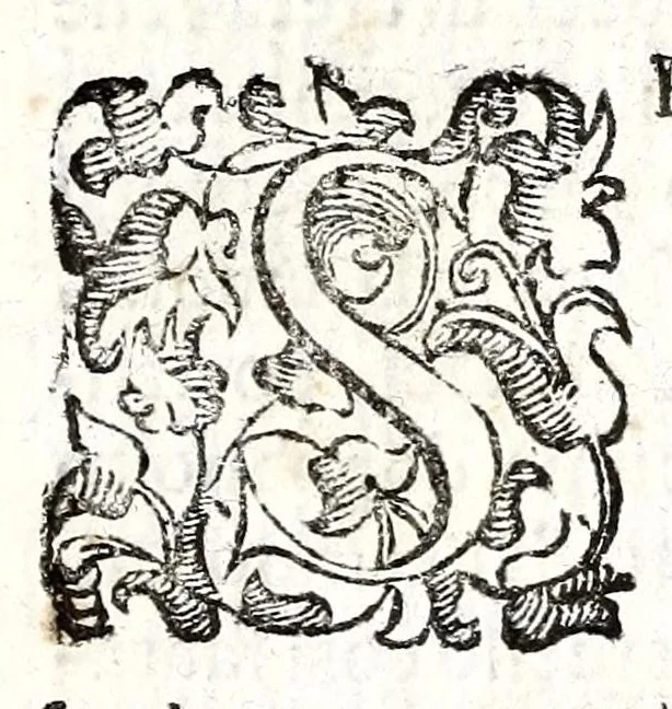 An illustration from Felsina pittrice: vite de pittori bolognesi : alla maesta christianissima di Luigi XIIII re di Francia e di Navarra il sempre vittorioso, 1678, leaf 355