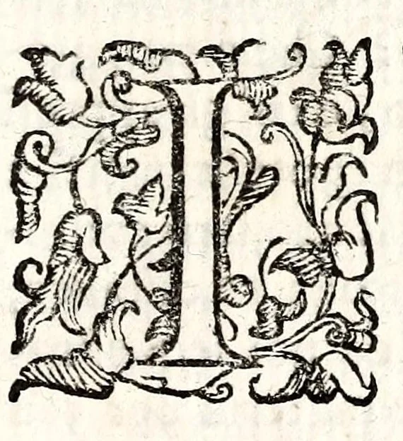 An illustration from Felsina pittrice: vite de pittori bolognesi : alla maesta christianissima di Luigi XIIII re di Francia e di Navarra il sempre vittorioso, 1678, leaf 369