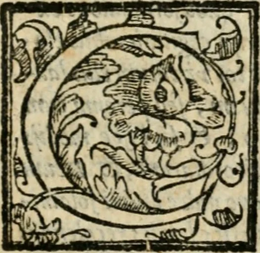 An illustration from Feralis pompa serenissimae Margaritae Avstriacae Farnesiae, Caroli V. filiae, per RR. DD. monachos Casinenses in monasterio S. Sixti de Plac. commorantes celebrata an. domini 1586, 1586, leaf 32