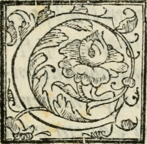 An illustration from Feralis pompa serenissimae Margaritae Avstriacae Farnesiae, Caroli V. filiae, per RR. DD. monachos Casinenses in monasterio S. Sixti de Plac. commorantes celebrata an. domini 1586, 1586, leaf 6
