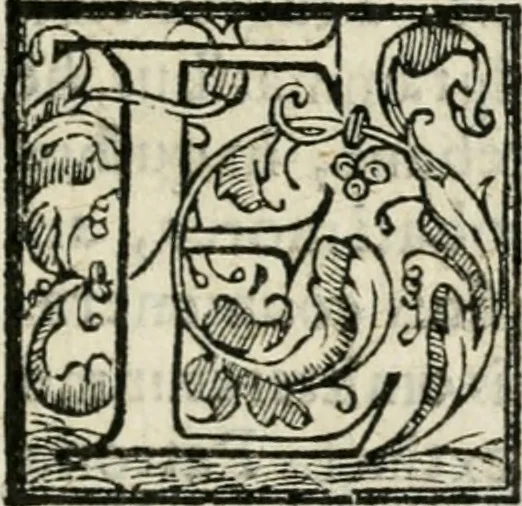 An illustration from Feralis pompa serenissimae Margaritae Avstriacae Farnesiae, Caroli V. filiae, per RR. DD. monachos Casinenses in monasterio S. Sixti de Plac. commorantes celebrata an. domini 1586, 1586, leaf 8