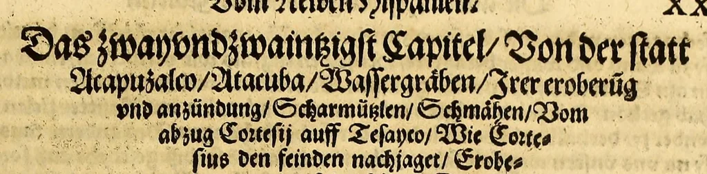 An illustration from Ferdinandi Cortesii. Von dem Newen Hispanien, so im Meer gegem Nidergang, Zwo gantz lustige vnnd fruchtreiche Historien, an den grossmächtigisten vnüberwindtlichisten Herren, Carolum. V. römischen Kaiser &c. Künig in Hispanien &c. ..., 1550, leaf 141
