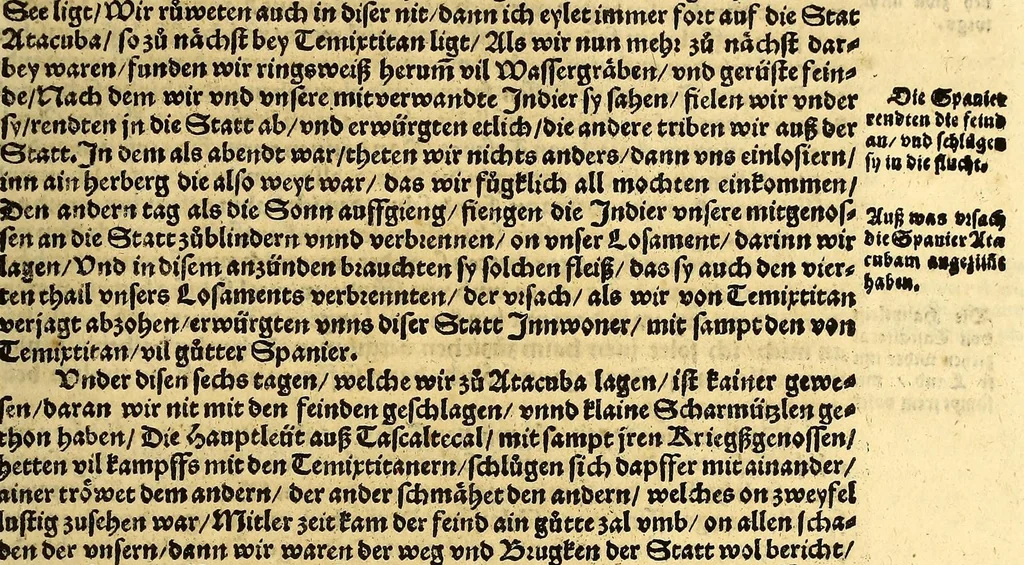 An illustration from Ferdinandi Cortesii. Von dem Newen Hispanien, so im Meer gegem Nidergang, Zwo gantz lustige vnnd fruchtreiche Historien, an den grossmächtigisten vnüberwindtlichisten Herren, Carolum. V. römischen Kaiser &c. Künig in Hispanien &c. ..., 1550, leaf 141