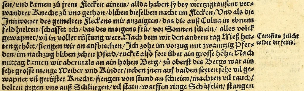 An illustration from Ferdinandi Cortesii. Von dem Newen Hispanien, so im Meer gegem Nidergang, Zwo gantz lustige vnnd fruchtreiche Historien, an den grossmächtigisten vnüberwindtlichisten Herren, Carolum. V. römischen Kaiser &c. Künig in Hispanien &c. ..., 1550, leaf 145