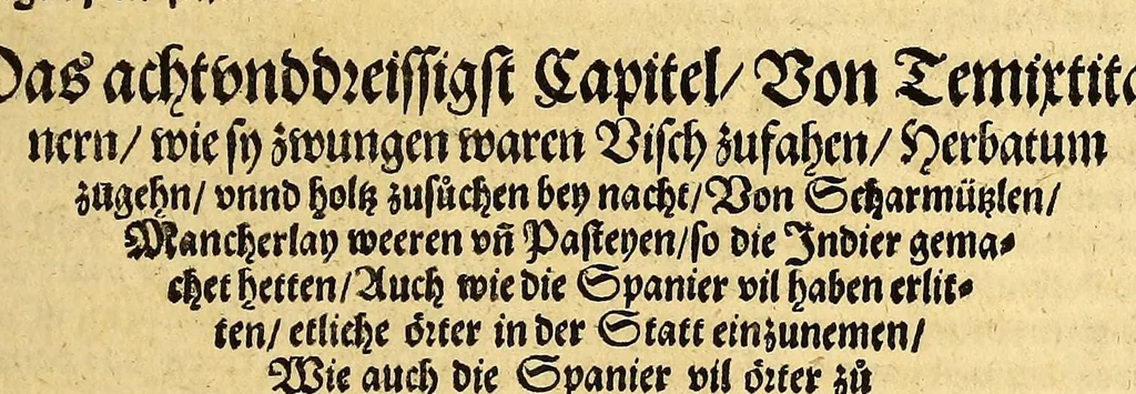 An illustration from Ferdinandi Cortesii. Von dem Newen Hispanien, so im Meer gegem Nidergang, Zwo gantz lustige vnnd fruchtreiche Historien, an den grossmächtigisten vnüberwindtlichisten Herren, Carolum. V. römischen Kaiser &c. Künig in Hispanien &c. ..., 1550, leaf 181