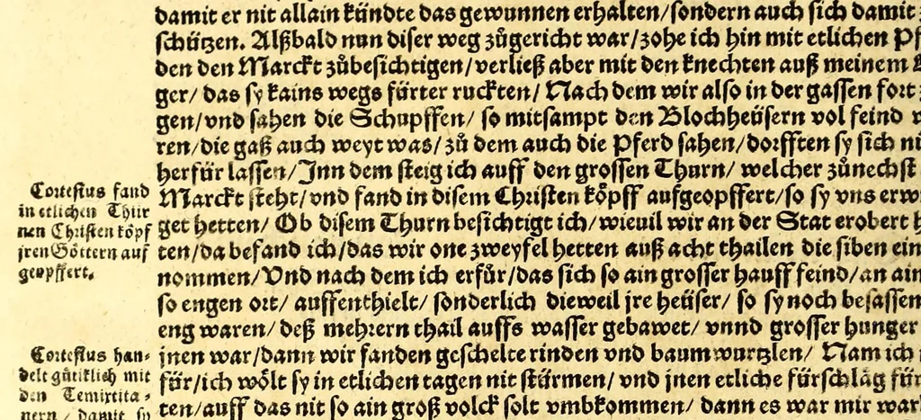 An illustration from Ferdinandi Cortesii. Von dem Newen Hispanien, so im Meer gegem Nidergang, Zwo gantz lustige vnnd fruchtreiche Historien, an den grossmächtigisten vnüberwindtlichisten Herren, Carolum. V. römischen Kaiser &c. Künig in Hispanien &c. ..., 1550, leaf 184