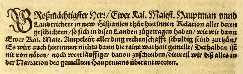 An illustration from Ferdinandi Cortesii. Von dem Newen Hispanien, so im Meer gegem Nidergang, Zwo gantz lustige vnnd fruchtreiche Historien, an den grossmächtigisten vnüberwindtlichisten Herren, Carolum. V. römischen Kaiser &c. Künig in Hispanien &c. ..., 1550, leaf 202