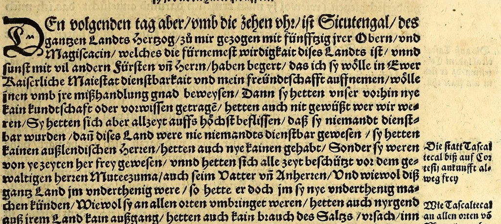 An illustration from Ferdinandi Cortesii. Von dem Newen Hispanien, so im Meer gegem Nidergang, Zwo gantz lustige vnnd fruchtreiche Historien, an den grossmächtigisten vnüberwindtlichisten Herren, Carolum. V. römischen Kaiser &c. Künig in Hispanien &c. ..., 1550, leaf 31
