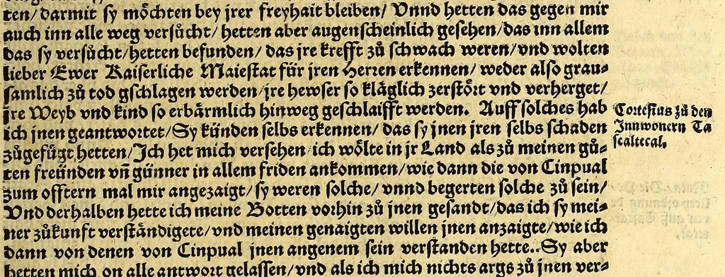 An illustration from Ferdinandi Cortesii. Von dem Newen Hispanien, so im Meer gegem Nidergang, Zwo gantz lustige vnnd fruchtreiche Historien, an den grossmächtigisten vnüberwindtlichisten Herren, Carolum. V. römischen Kaiser &c. Künig in Hispanien &c. ..., 1550, leaf 31