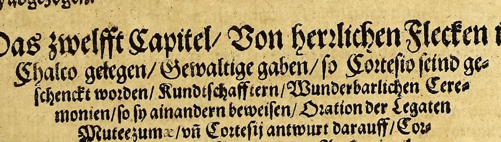 An illustration from Ferdinandi Cortesii. Von dem Newen Hispanien, so im Meer gegem Nidergang, Zwo gantz lustige vnnd fruchtreiche Historien, an den grossmächtigisten vnüberwindtlichisten Herren, Carolum. V. römischen Kaiser &c. Künig in Hispanien &c. ..., 1550, leaf 41