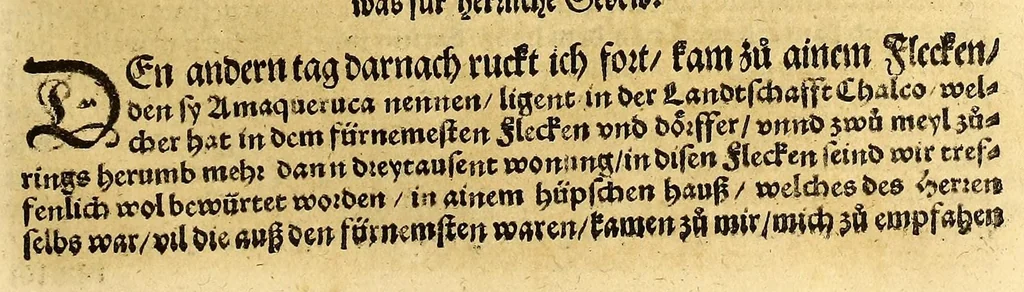 An illustration from Ferdinandi Cortesii. Von dem Newen Hispanien, so im Meer gegem Nidergang, Zwo gantz lustige vnnd fruchtreiche Historien, an den grossmächtigisten vnüberwindtlichisten Herren, Carolum. V. römischen Kaiser &c. Künig in Hispanien &c. ..., 1550, leaf 41