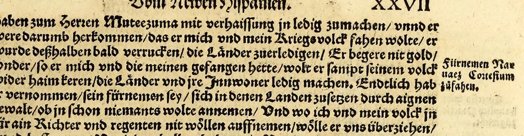 An illustration from Ferdinandi Cortesii. Von dem Newen Hispanien, so im Meer gegem Nidergang, Zwo gantz lustige vnnd fruchtreiche Historien, an den grossmächtigisten vnüberwindtlichisten Herren, Carolum. V. römischen Kaiser &c. Künig in Hispanien &c. ..., 1550, leaf 71