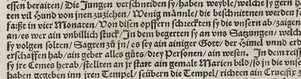 An illustration from Ferdinandi Cortesii. Von dem Newen Hispanien, so im Meer gegem Nidergang, Zwo gantz lustige vnnd fruchtreiche Historien, an den grossmächtigisten vnüberwindtlichisten Herren, Carolum. V. römischen Kaiser &c. Künig in Hispanien &c. ..., 1550, leaf 110