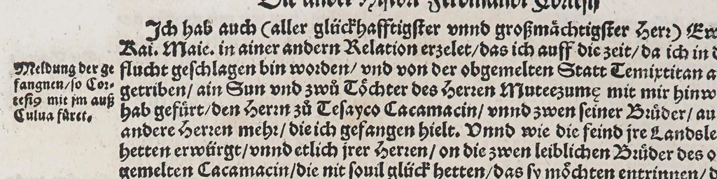 An illustration from Ferdinandi Cortesii. Von dem Newen Hispanien, so im Meer gegem Nidergang, Zwo gantz lustige vnnd fruchtreiche Historien, an den grossmächtigisten vnüberwindtlichisten Herren, Carolum. V. römischen Kaiser &c. Künig in Hispanien &c. ..., 1550, leaf 132