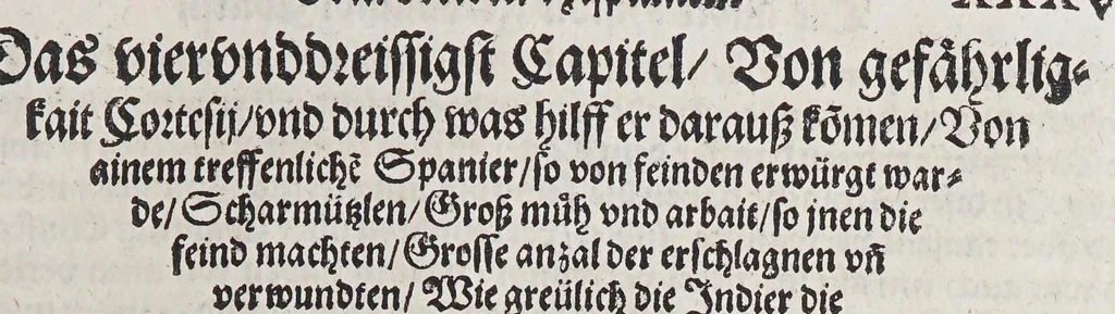An illustration from Ferdinandi Cortesii. Von dem Newen Hispanien, so im Meer gegem Nidergang, Zwo gantz lustige vnnd fruchtreiche Historien, an den grossmächtigisten vnüberwindtlichisten Herren, Carolum. V. römischen Kaiser &c. Künig in Hispanien &c. ..., 1550, leaf 171