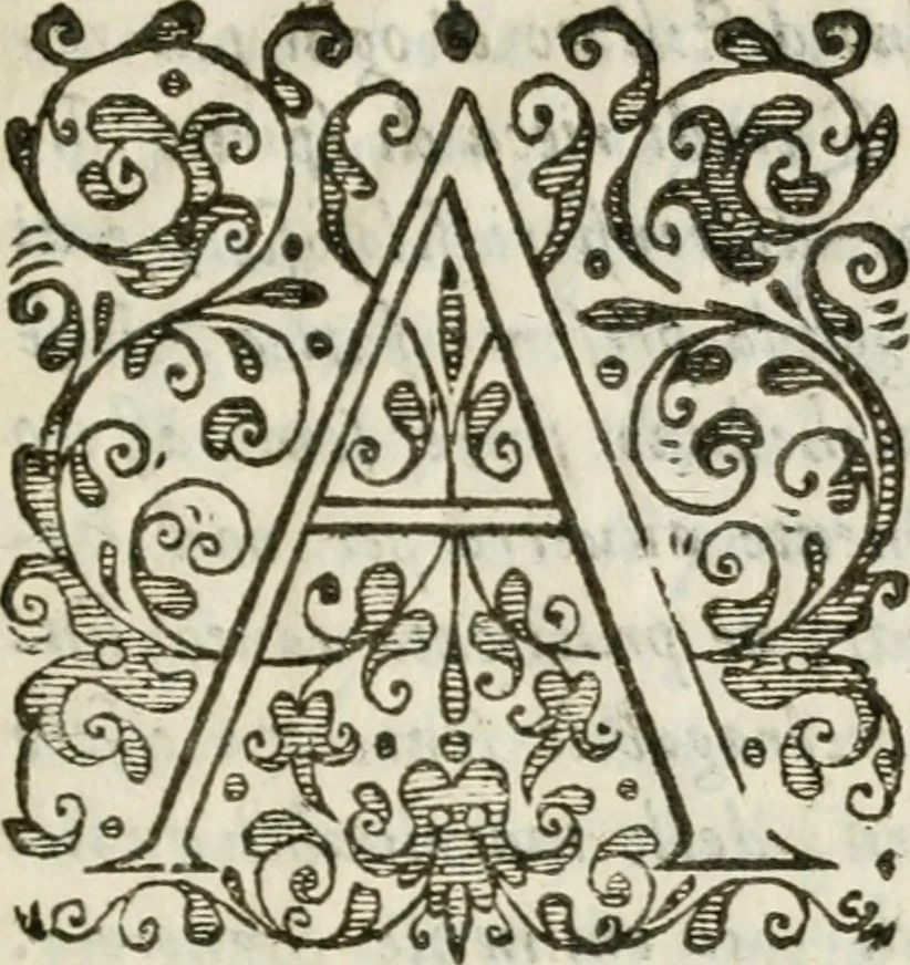An illustration from Ferrara trionfante, per la coronazione della B.ma Vergine del Rosario celebrata l'anno 1638. Con apparato di teatro, di macchine, e di musica componimento dell'eccellentiss. sig. d. Ascanio Pio di Savoia. Donato dal medesimo signore alla Compagnia del Santiss. Rosario eretta anticamente in Ferrara nella Chiesa di S. Domenico de reuerendi Padri Predicatori, 1662, leaf 14