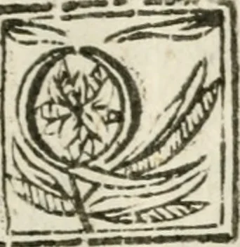 An illustration from Ferrara trionfante, per la coronazione della B.ma Vergine del Rosario celebrata l'anno 1638. Con apparato di teatro, di macchine, e di musica componimento dell'eccellentiss. sig. d. Ascanio Pio di Savoia. Donato dal medesimo signore alla Compagnia del Santiss. Rosario eretta anticamente in Ferrara nella Chiesa di S. Domenico de reuerendi Padri Predicatori, 1662, leaf 28