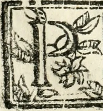 An illustration from Ferrara trionfante, per la coronazione della B.ma Vergine del Rosario celebrata l'anno 1638. Con apparato di teatro, di macchine, e di musica componimento dell'eccellentiss. sig. d. Ascanio Pio di Savoia. Donato dal medesimo signore alla Compagnia del Santiss. Rosario eretta anticamente in Ferrara nella Chiesa di S. Domenico de reuerendi Padri Predicatori, 1662, leaf 29