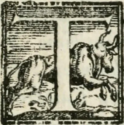 An illustration from Ferrara trionfante, per la coronazione della B.ma Vergine del Rosario celebrata l'anno 1638. Con apparato di teatro, di macchine, e di musica componimento dell'eccellentiss. sig. d. Ascanio Pio di Savoia. Donato dal medesimo signore alla Compagnia del Santiss. Rosario eretta anticamente in Ferrara nella Chiesa di S. Domenico de reuerendi Padri Predicatori, 1662, leaf 40