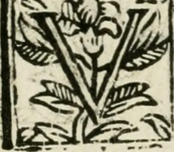 An illustration from Ferrara trionfante, per la coronazione della B.ma Vergine del Rosario celebrata l'anno 1638. Con apparato di teatro, di macchine, e di musica componimento dell'eccellentiss. sig. d. Ascanio Pio di Savoia. Donato dal medesimo signore alla Compagnia del Santiss. Rosario eretta anticamente in Ferrara nella Chiesa di S. Domenico de reuerendi Padri Predicatori, 1662, leaf 42