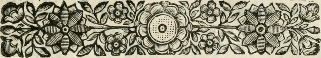 An illustration from Ferrara trionfante, per la coronazione della B.ma Vergine del Rosario celebrata l'anno 1638. Con apparato di teatro, di macchine, e di musica componimento dell'eccellentiss. sig. d. Ascanio Pio di Savoia. Donato dal medesimo signore alla Compagnia del Santiss. Rosario eretta anticamente in Ferrara nella Chiesa di S. Domenico de reuerendi Padri Predicatori, 1662, leaf 8