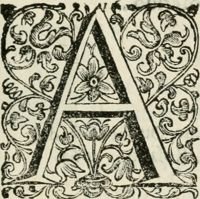 An illustration from Ferrara trionfante, per la coronazione della B.ma Vergine del Rosario celebrata l'anno 1638. Con apparato di teatro, di macchine, e di musica componimento dell'eccellentiss. sig. d. Ascanio Pio di Savoia. Donato dal medesimo signore alla Compagnia del Santiss. Rosario eretta anticamente in Ferrara nella Chiesa di S. Domenico de reuerendi Padri Predicatori, 1662, leaf 8