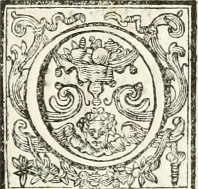 An illustration from Festa Accademica di lettere, e d'armi per la glorisa esaltazione al trono pontificio della santita di nostro signore Benedetto XIV ed alla medesima consecrata, 1740, leaf 18
