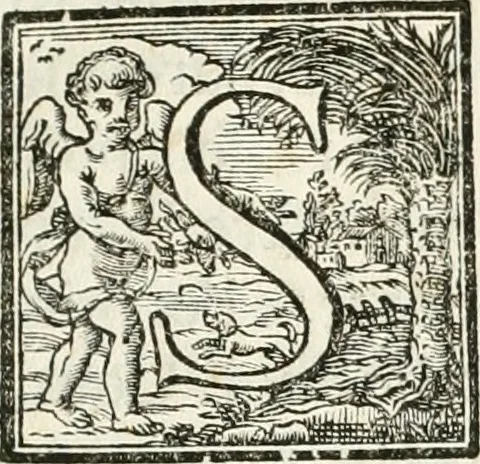 An illustration from Festa Accademica di lettere, e d'armi per la glorisa esaltazione al trono pontificio della santita di nostro signore Benedetto XIV ed alla medesima consecrata, 1740, leaf 8