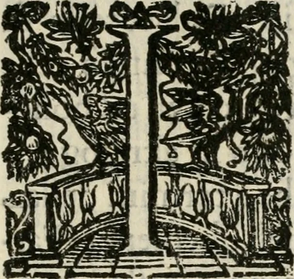 An illustration from Festa fatta in Roma alli 25. di febraio MDCXXXIV, 1635, leaf 12