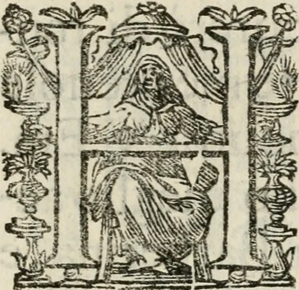 An illustration from Festa fatta in Roma alli 25. di febraio MDCXXXIV, 1635, leaf 6