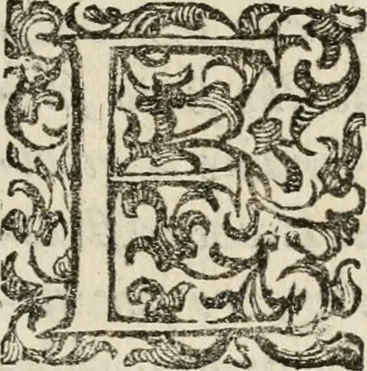 An illustration from Festa fatta in Roma alli 25. di febraio MDCXXXIV, 1635, leaf 8