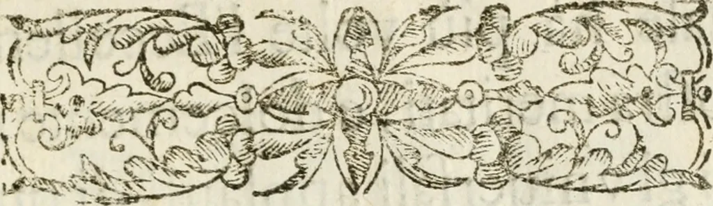 An illustration from Feste celebrate in Roma per Vienna liberata dall'inuasione de'Turchi, 1683, leaf 6