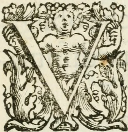An illustration from Feste celebrate in Roma per Vienna liberata dall'inuasione de'Turchi, 1683, leaf 6
