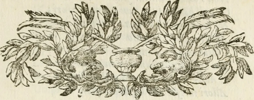 An illustration from Feste celebrate in Roma per Vienna liberata dall'inuasione de'Turchi, 1683, leaf 8