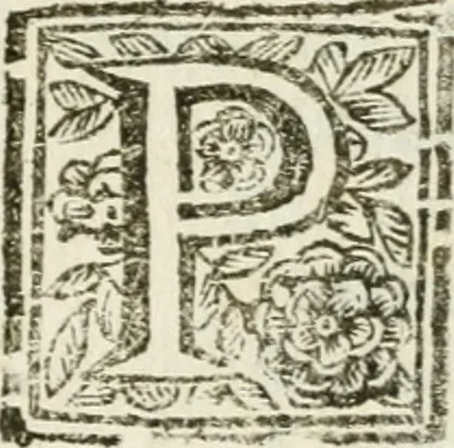 An illustration from Feste celebrate in Roma per Vienna liberata dall'inuasione de'Turchi, 1683, leaf 8