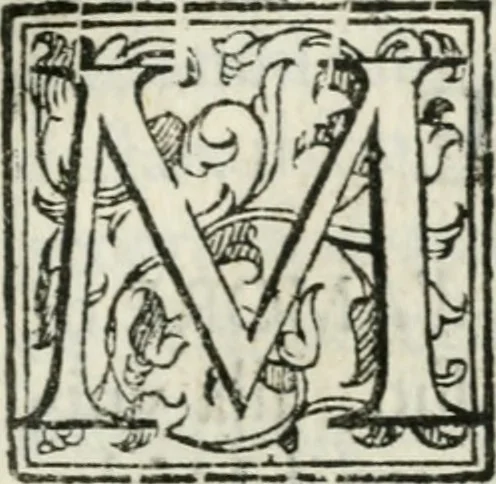 An illustration from Feste di Milano nel felicissimo nascimento del serenissimo principe di Spagna don Filippo Dominico Vittorio, 1607, leaf 106