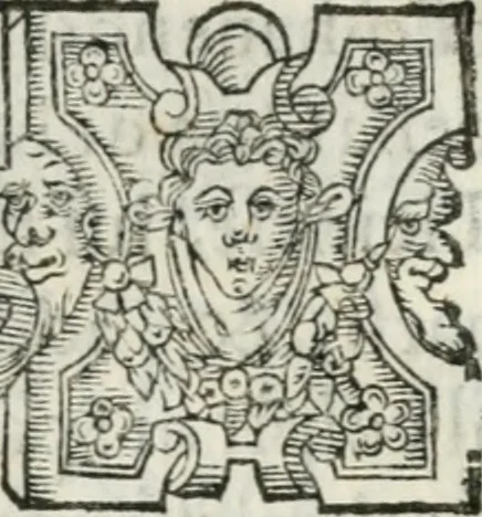 An illustration from Feste di Milano nel felicissimo nascimento del serenissimo principe di Spagna don Filippo Dominico Vittorio, 1607, leaf 140