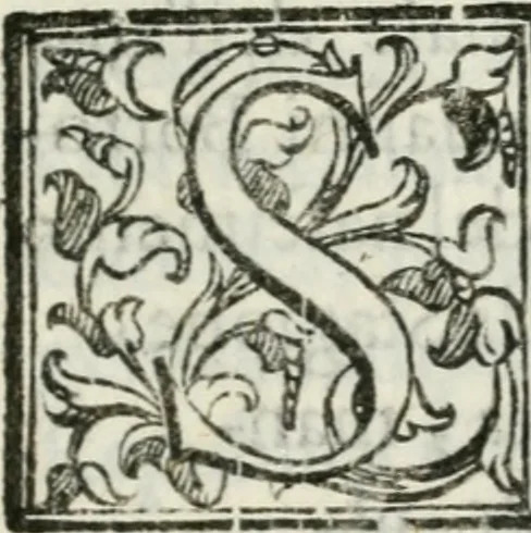 An illustration from Feste di Milano nel felicissimo nascimento del serenissimo principe di Spagna don Filippo Dominico Vittorio, 1607, leaf 140