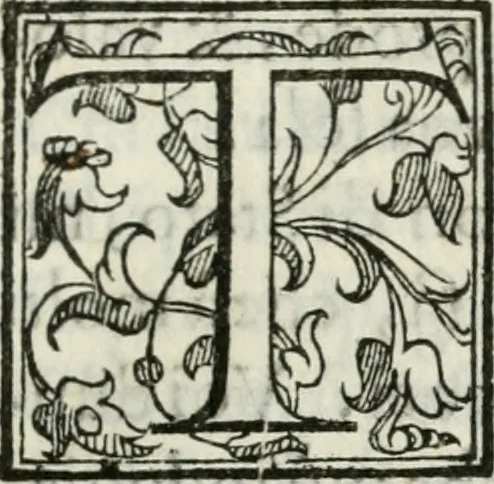 An illustration from Feste di Milano nel felicissimo nascimento del serenissimo principe di Spagna don Filippo Dominico Vittorio, 1607, leaf 142