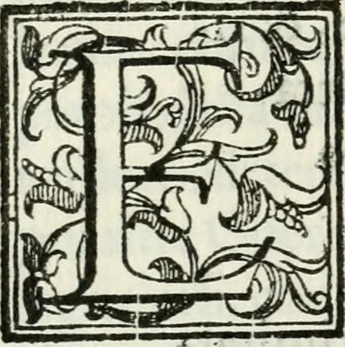 An illustration from Feste di Milano nel felicissimo nascimento del serenissimo principe di Spagna don Filippo Dominico Vittorio, 1607, leaf 215