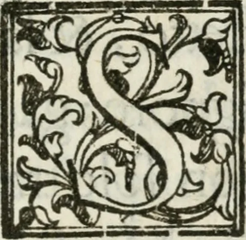 An illustration from Feste di Milano nel felicissimo nascimento del serenissimo principe di Spagna don Filippo Dominico Vittorio, 1607, leaf 6