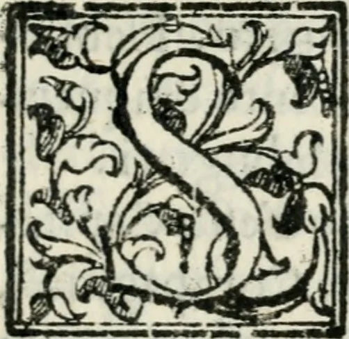An illustration from Feste di Milano nel felicissimo nascimento del serenissimo principe di Spagna don Filippo Dominico Vittorio, 1607, leaf 78