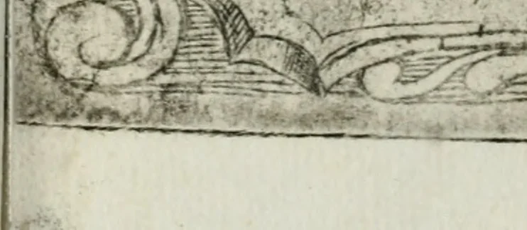 An illustration from Feste nelle nozze del serenissimo don Francesco Medici gran dvca di Toscana; et della sereniss. sua consorte la sig. Bianca Cappello, 1579, leaf 18