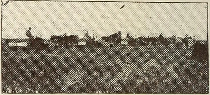 An illustration from A few facts about the city of Saskatoon : something of its past, present and prospects for the future, a city of opportunities. A railway centre. The hub of the great hard wheat area of Central Saskatchewan, 1907, leaf 14